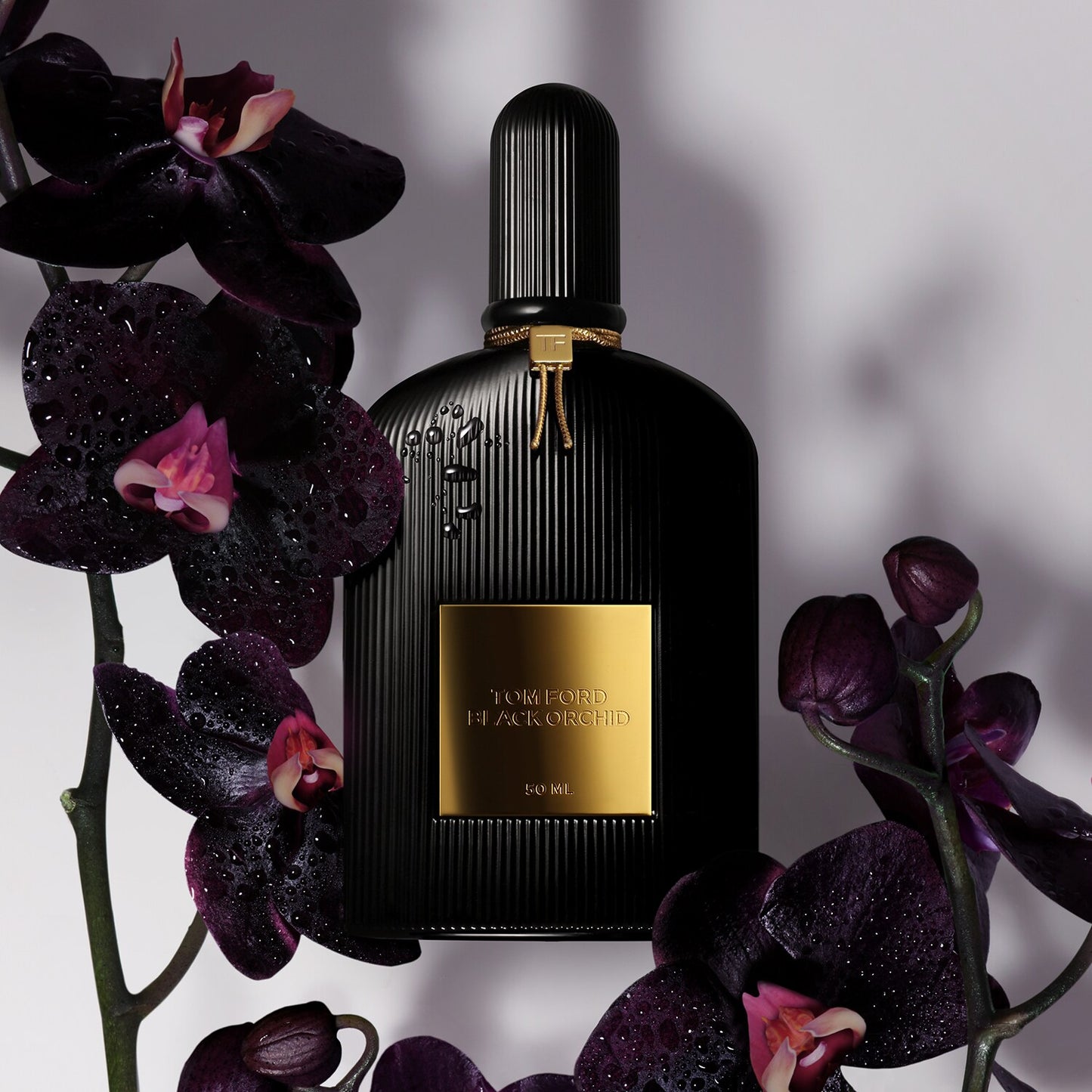 TOM FORD Black Orchid - Eau de Parfum 100ml